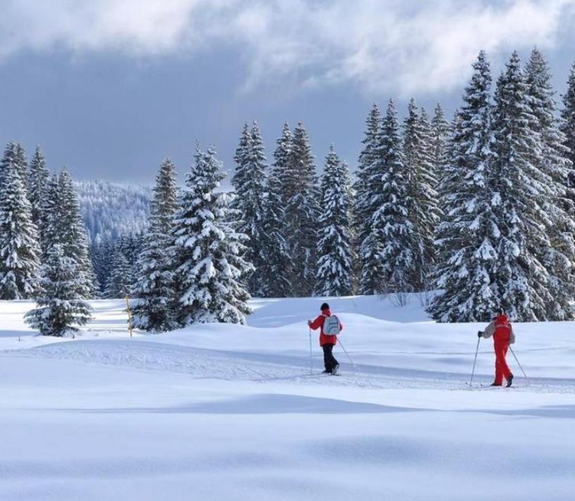 Gite Au Coeur Du Jura Entre Comte Et Vin Jaune, Gite Vin Jaune Chamole Dış mekan fotoğraf
